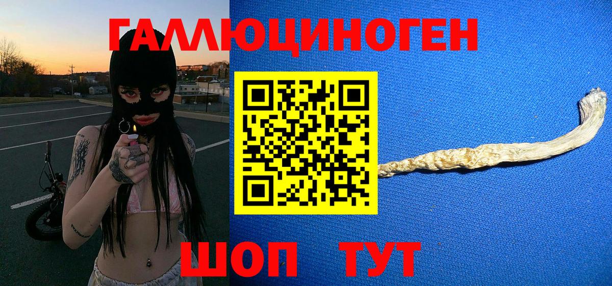 Псилоцибиновые грибы прущие грибы  Вход с VPN  Москва 